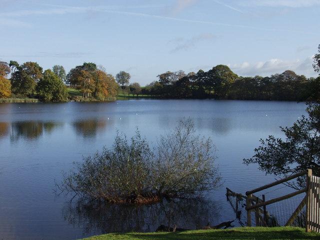 Newton Mere
